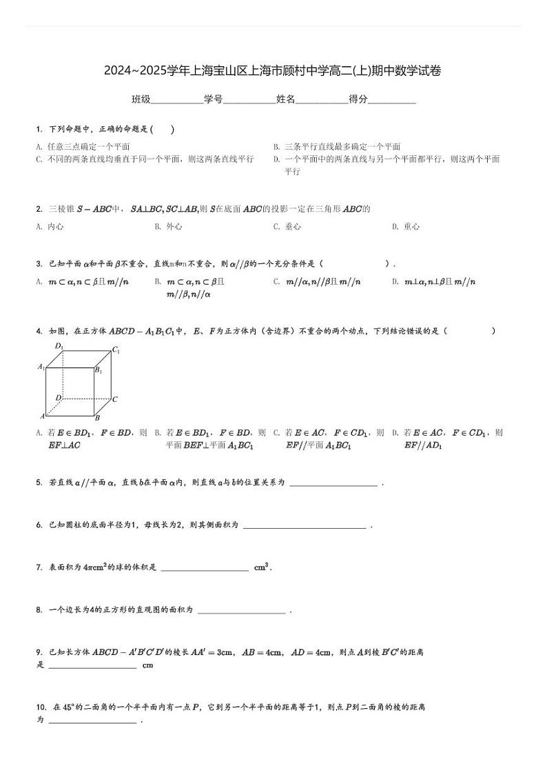 2024～2025学年上海宝山区上海市顾村中学高二(上)期中数学试卷[原题+解析]第1页