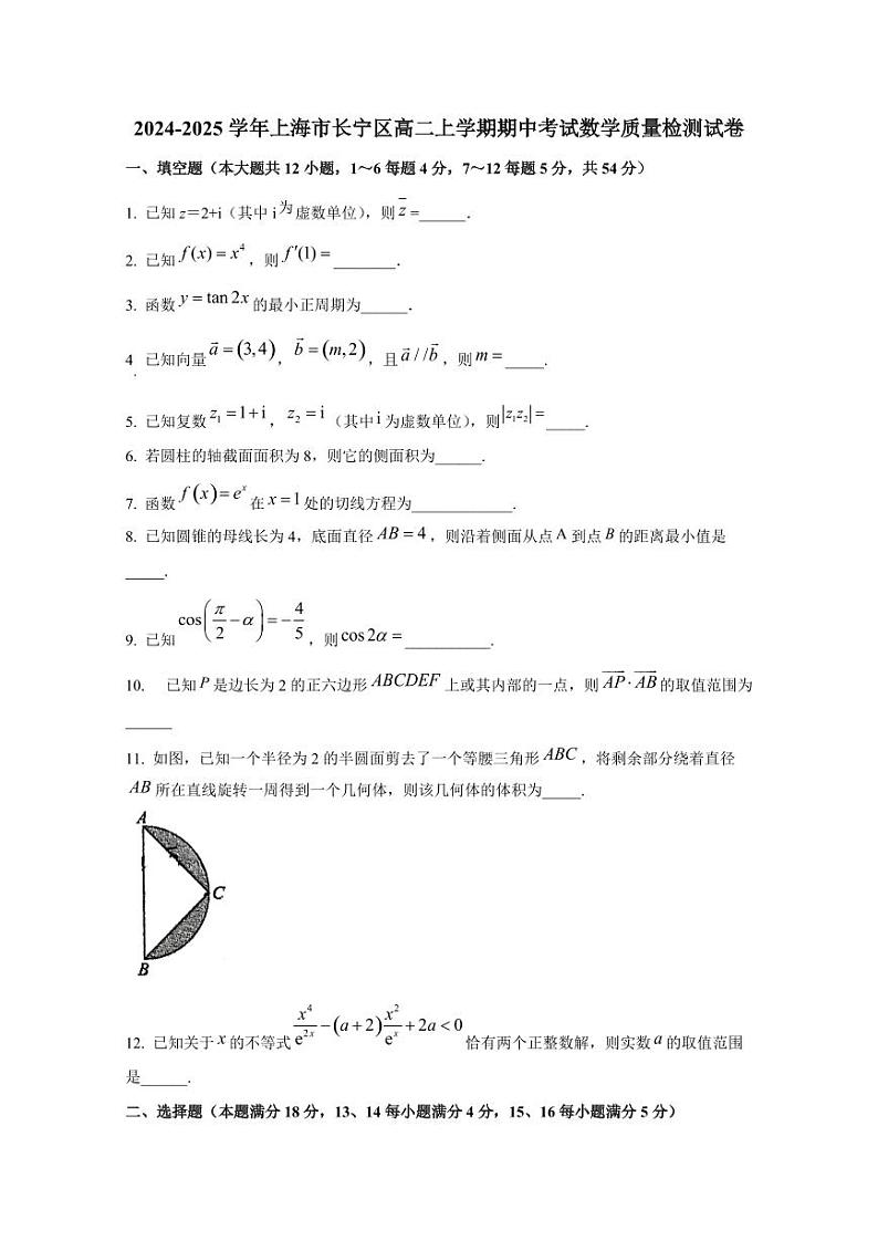 2024-2025学年上海市长宁区高二上学期期中考试数学质量检测试卷（含解析）第1页