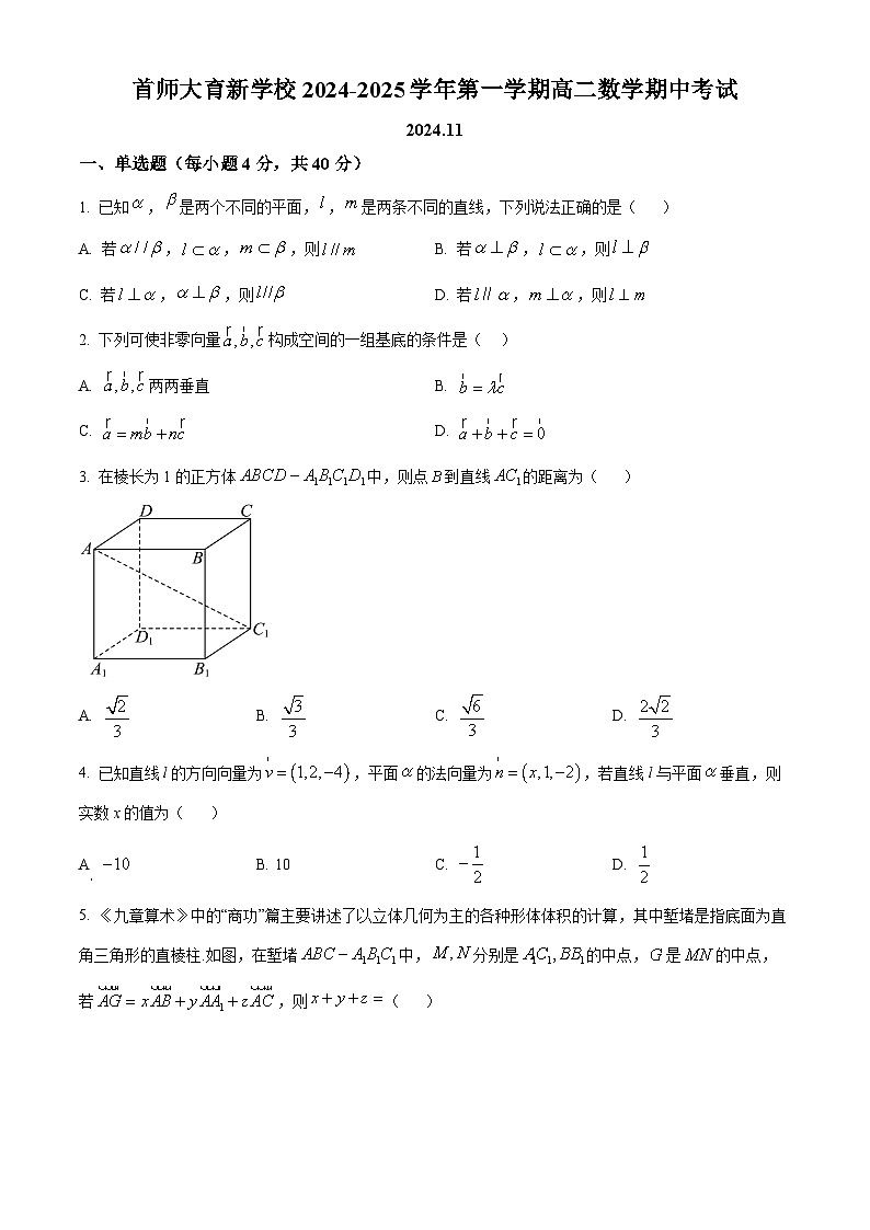 北京市首都师范大学附属育新学校2024-2025学年高二上学期期中考试数学试卷（原卷版）第1页