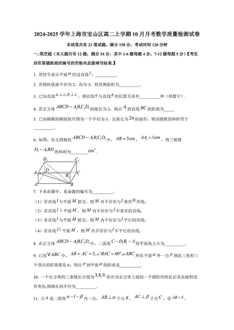 2024-2025学年上海市宝山区高二上学期10月月考数学质量检测试卷（含解析）第1页