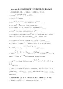 2024-2025学年上海市嘉定区高三上学期期中数学质量检测试卷（含解析）