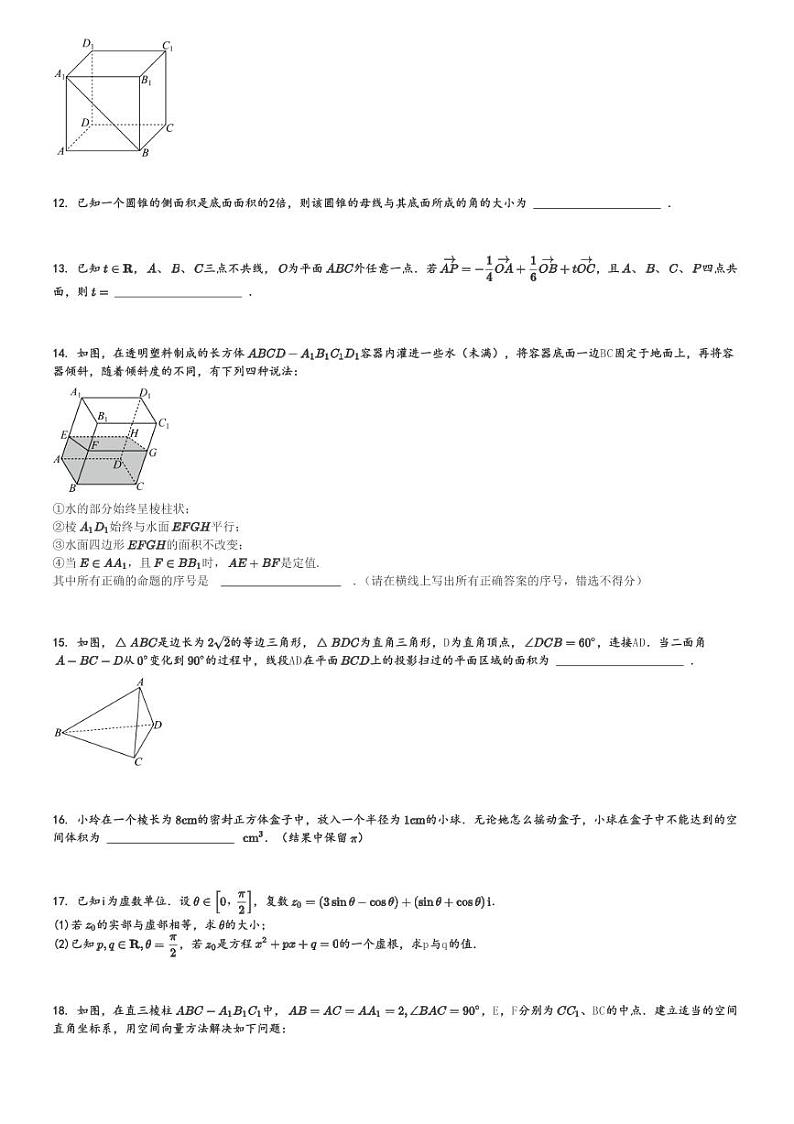 2024～2025学年上海普陀区上海市曹杨第二中学高二(上)期中数学试卷[原题+解析]第2页