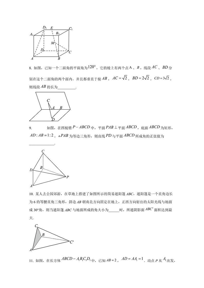 2024-2025学年上海市长宁区高二上学期10月月考数学学情调研试卷（含解析）第2页