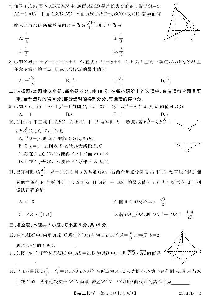 金科·新未来大联考2024-2025学年高二11月期中质量检测数学试题202411-1213第2页
