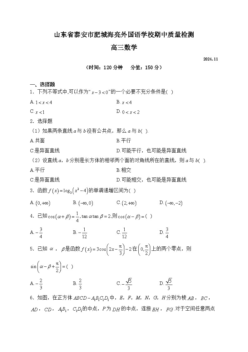 山东省泰安市肥城海亮外国语学校2024-2025学年高三上学期期中质量检测数学试卷第1页