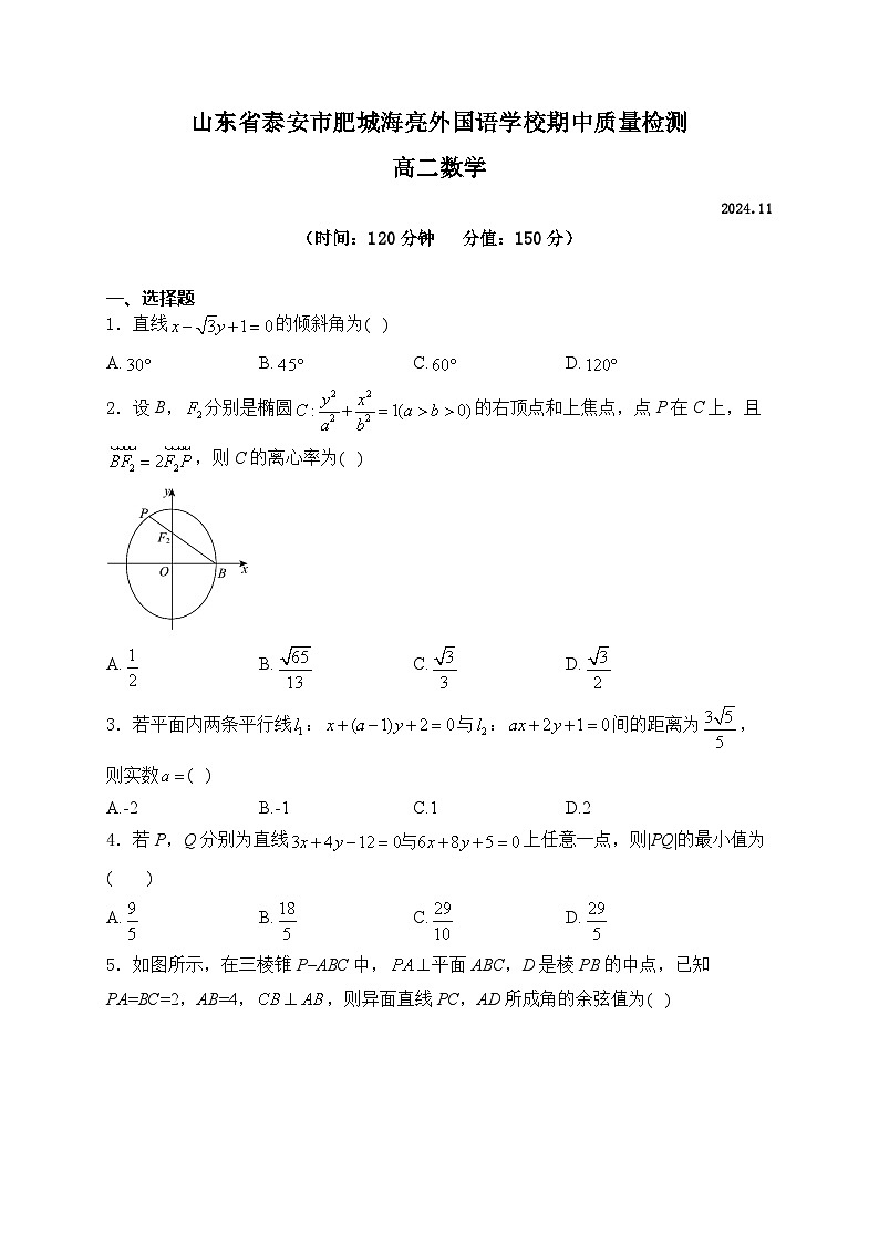 山东省泰安市肥城海亮外国语学校2024-2025学年高二上学期期中质量检测数学试卷01