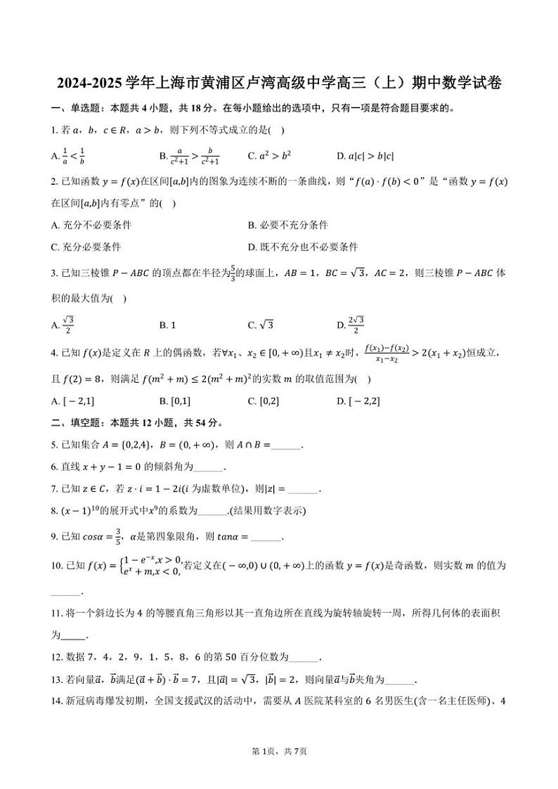 2024～2025学年上海市黄浦区卢湾高级中学高三(上)期中数学试卷(含答案)第1页
