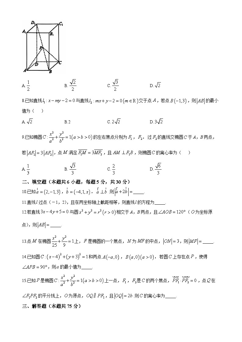 天津市五区县重点校联考2024-2025学年高二上学期11月期中考试数学试卷（Word版附解析）第2页
