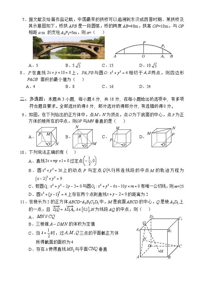 海南省文昌中学2024-2025学年高二上学期11月段考数学试题02