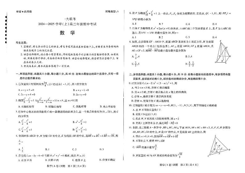 河南省部分学校大联考2024-2025学年高二上学期11月期中数学试题01