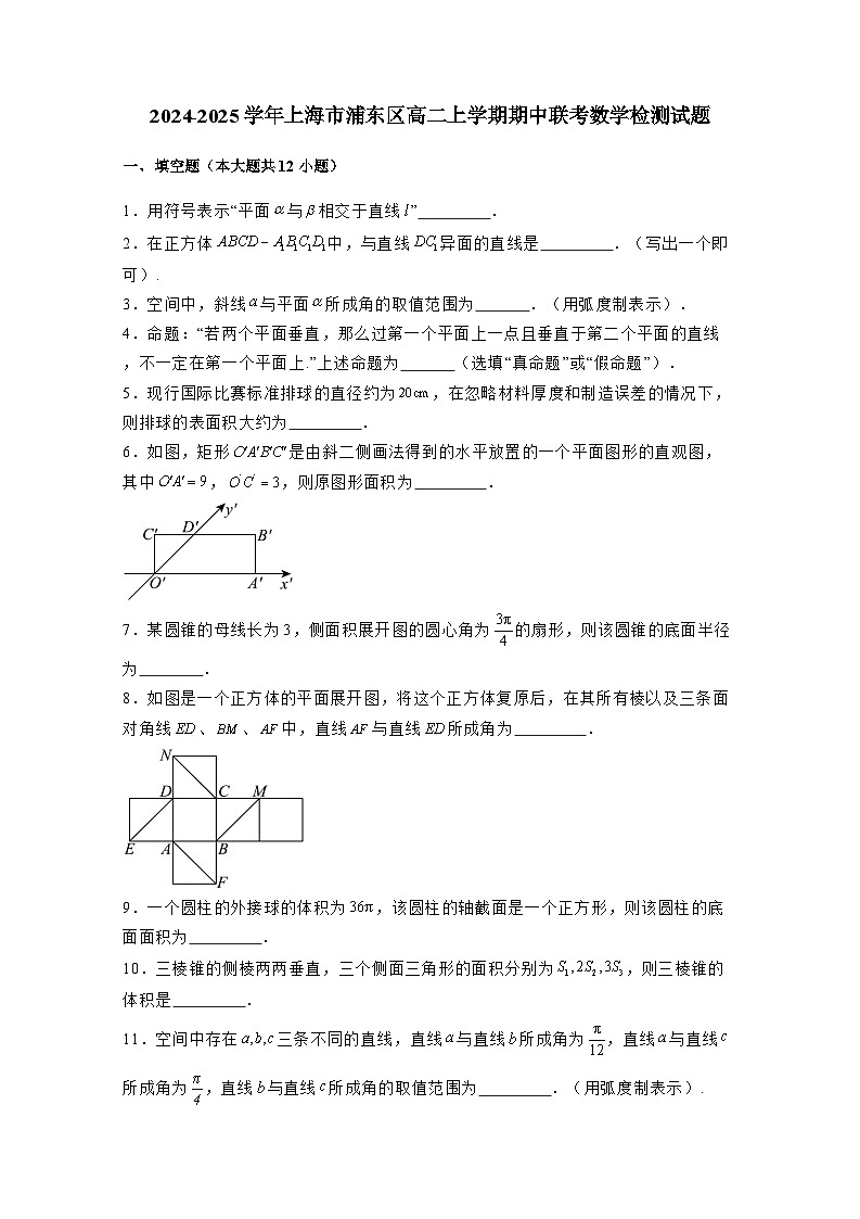 2024-2025学年上海市浦东区高二上学期期中联考数学检测试题（含解析）第1页