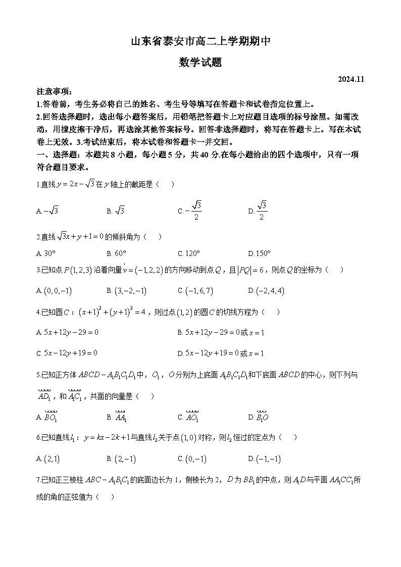2025泰安高二上学期11月期中考试数学含答案第1页