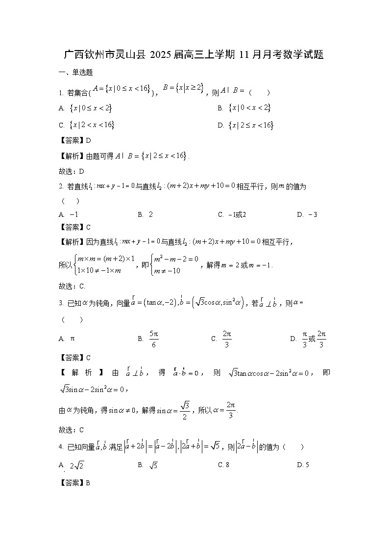 2025届广西钦州市灵山县高三(上)11月月考数学试卷(解析版)01