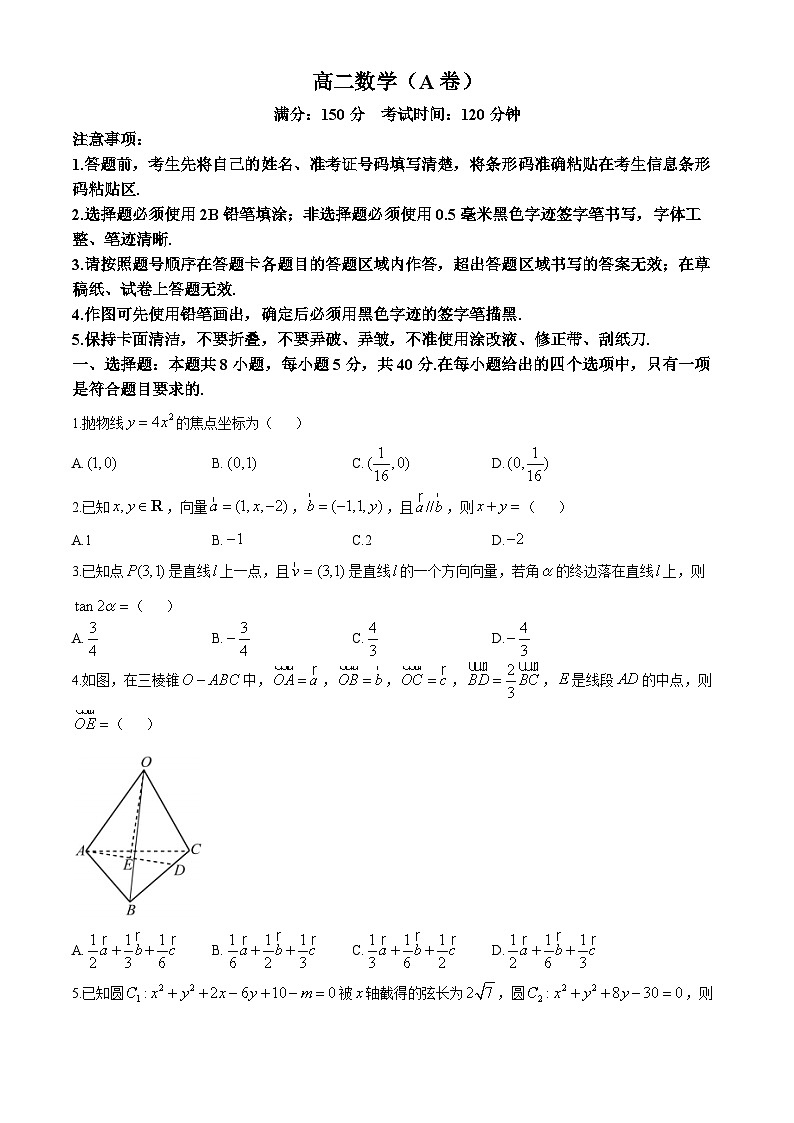 安徽省鼎尖教育2024-2025学年高二上学期11月期中考试数学试卷(A卷)(无答案)第1页