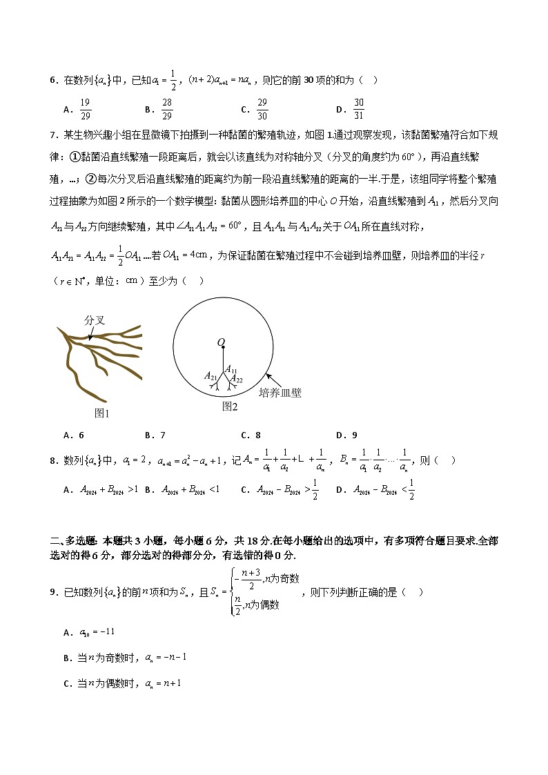 高考仿真重难点训练08 数列（原卷版）第2页