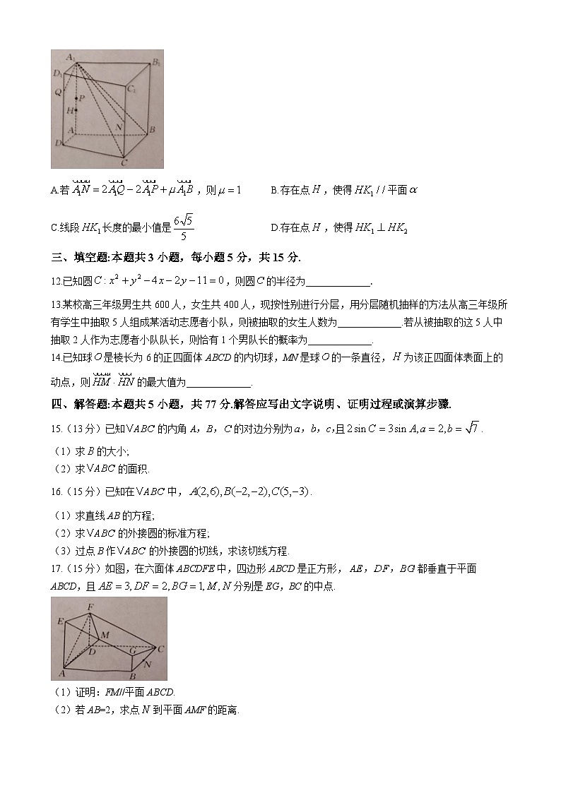 广东省部分学校2024-2025学年高二上学期期中联考数学试题第3页