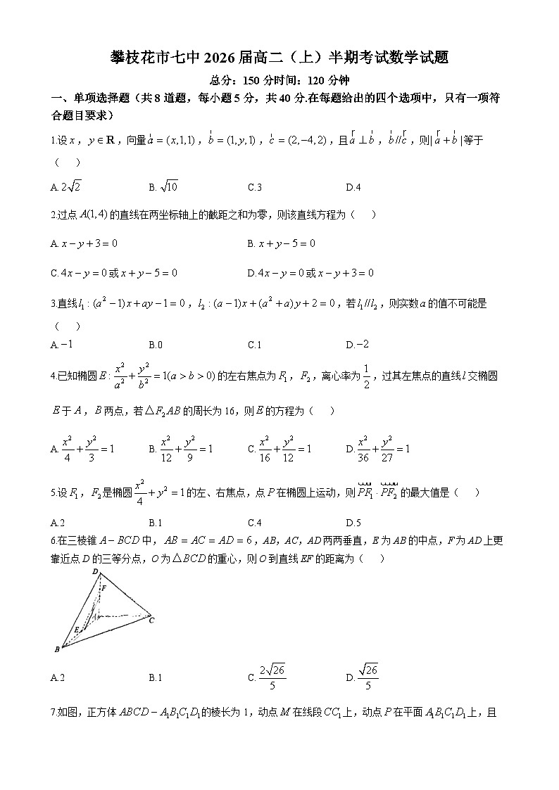 四川省攀枝花市第七高级中学校2024-2025学年高二上学期期中考试数学试卷第1页