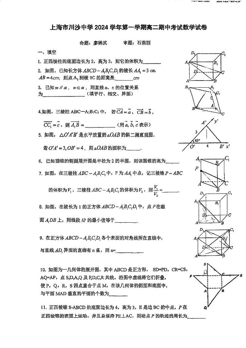 上海市川沙中学2024-2025学年高二上学期期中考试数学试卷第1页