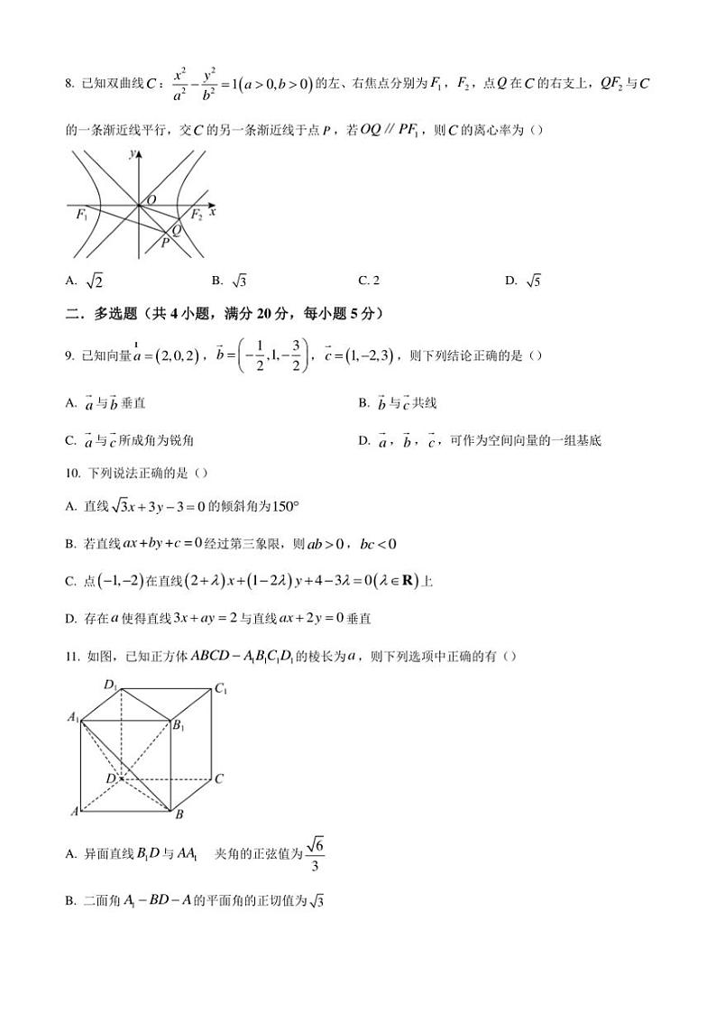 河南省信阳市信阳高级中学北湖校区2024～2025学年高二(上)期中数学试卷(含答案)第2页