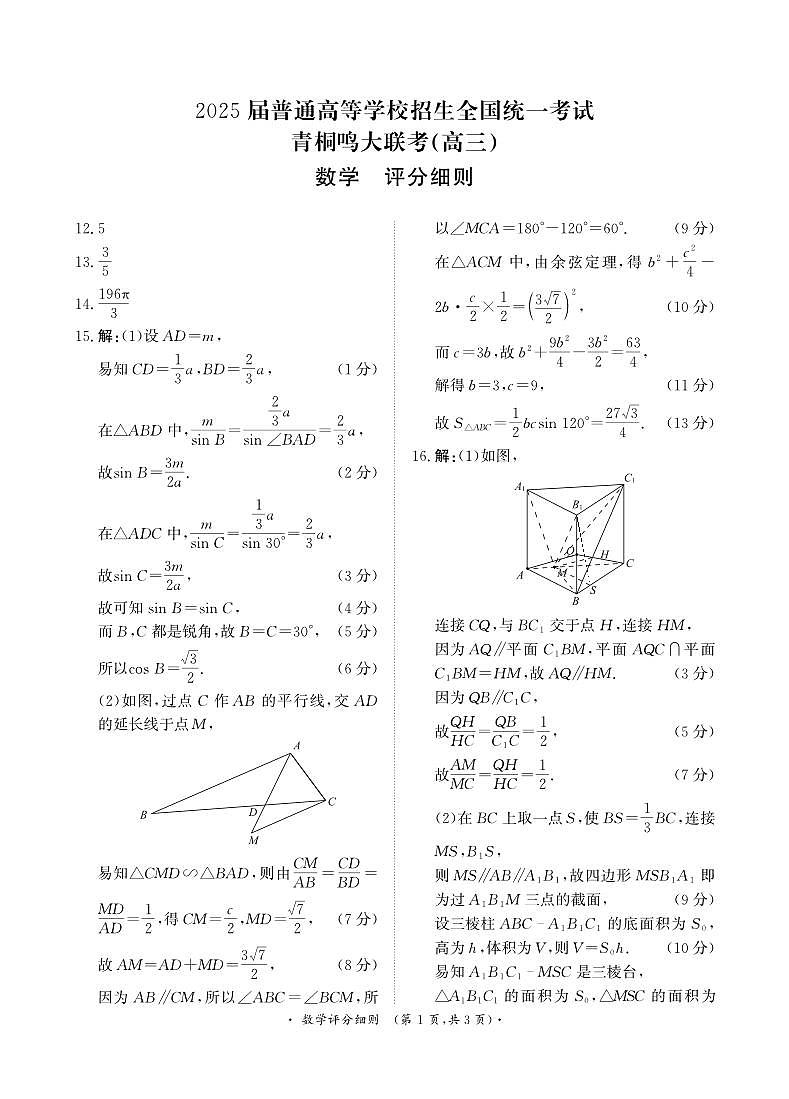青桐鸣11月高三联考数学评分细则第1页