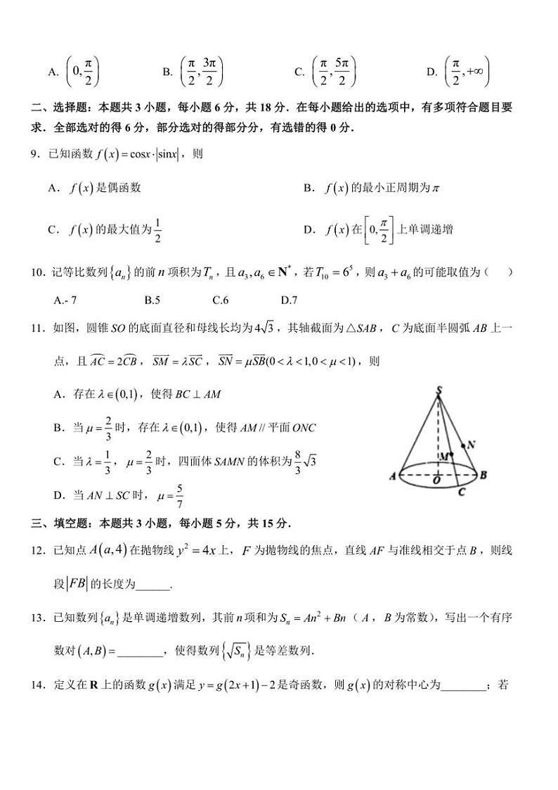 湖北省荆州市沙市2024～2025学年高三(上)11月月考数学试卷(含答案)第2页