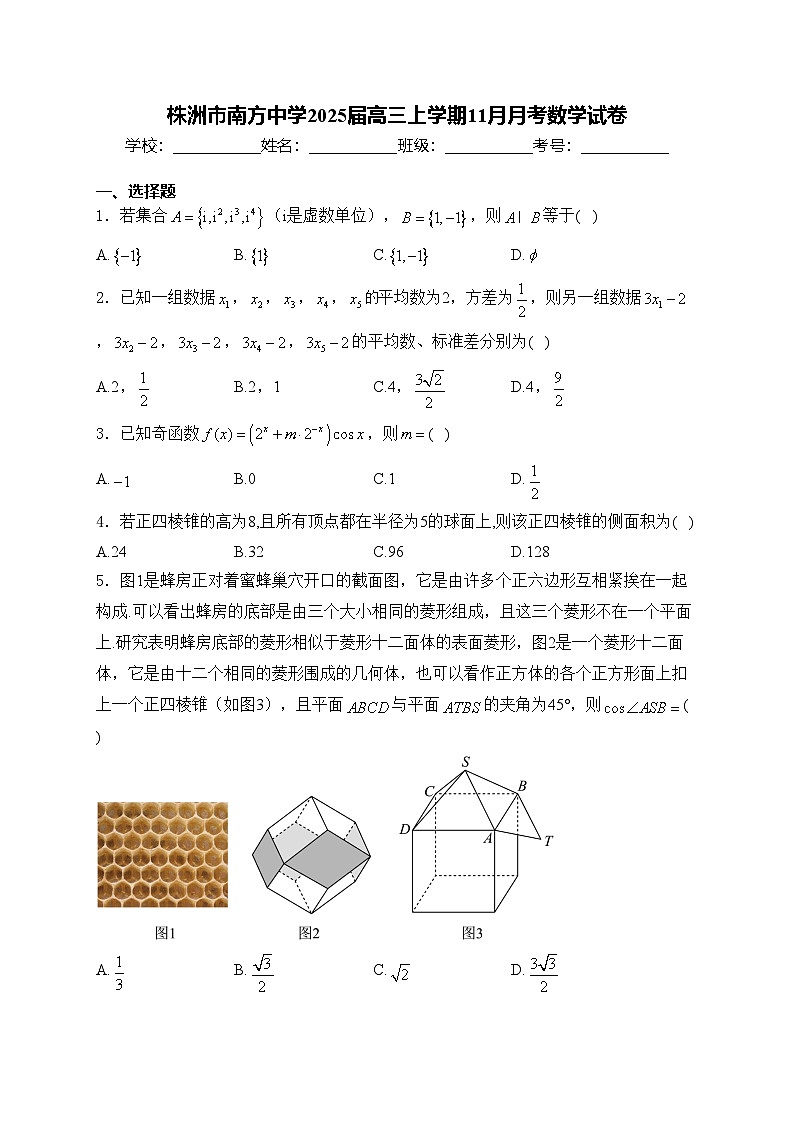 株洲市南方中学2025届高三上学期11月月考数学试卷(含答案)第1页
