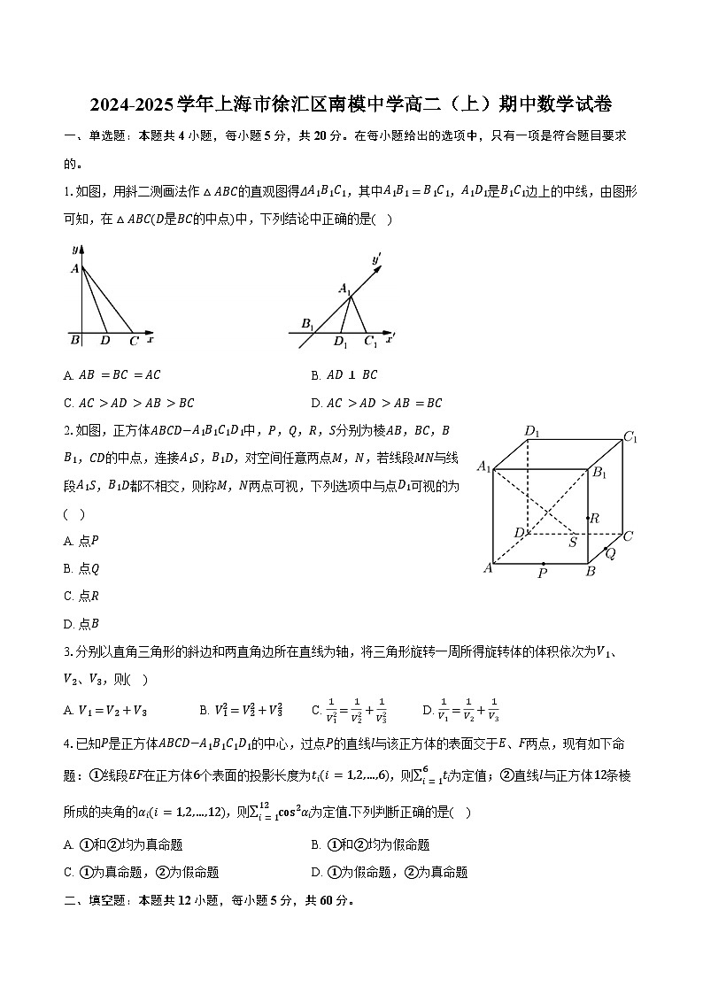 2024-2025学年上海市徐汇区南模中学高二（上）期中数学试卷（含答案）第1页