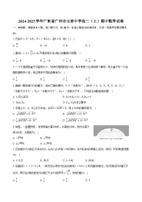 2024-2025学年广东省广州市玉岩中学高二（上）期中数学试卷（含答案）