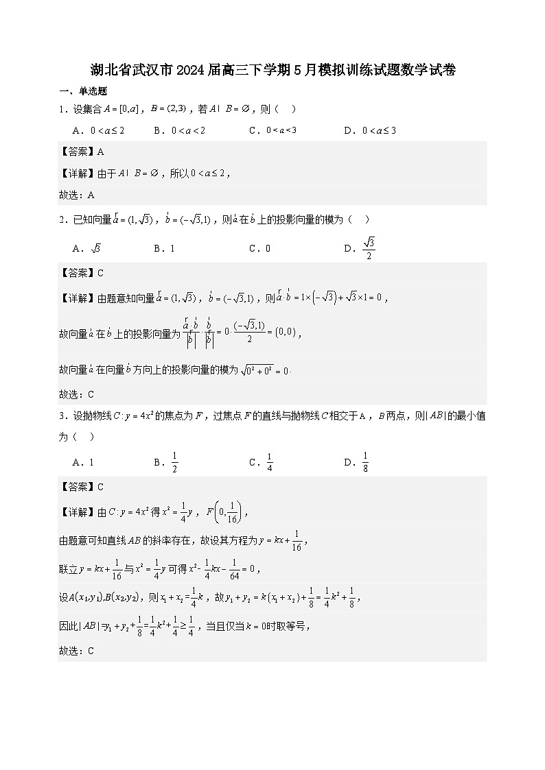 湖北省武汉市2024届高三下学期5月模拟训练试题数学试卷第1页