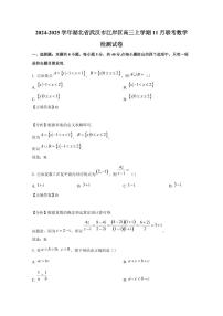 2024-2025学年湖北省武汉市江岸区高三上学期11月联考数学检测试卷（含解析）