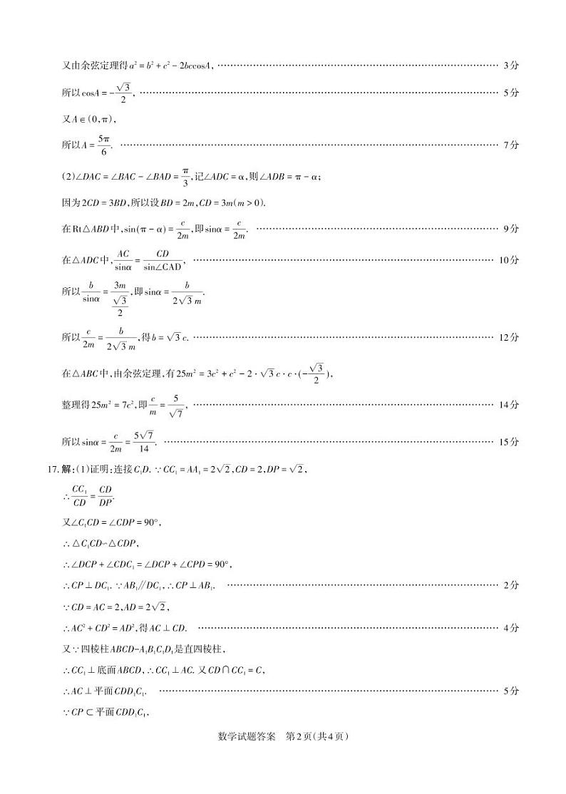 数学+答案+2024-2025学年高三备考核心模拟中期考试_Password_Removed第2页