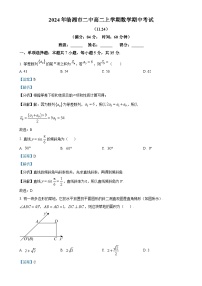 湖南省临湘市第二中学2024-2025学年高二上学期期中考试数学试卷（11.24）（解析版）-A4