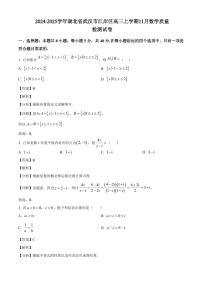 2024-2025学年湖北省武汉市江岸区高三上学期11月数学质量检测试卷（含解析）