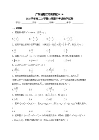 广东省阳江市高新区2024-2025学年高二上学期11月期中考试数学试卷(含答案)