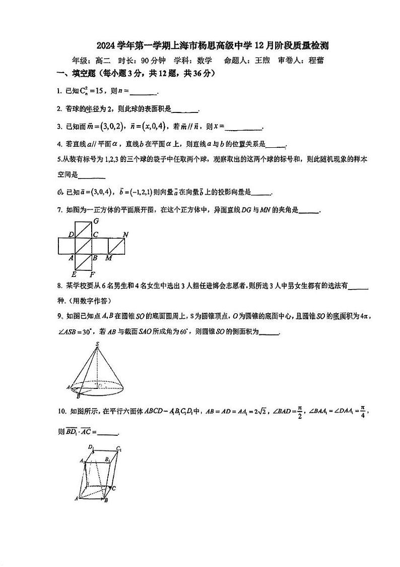 上海市杨思高级中学2024-2025学年高二上学期12月阶段质量检测数学试卷第1页