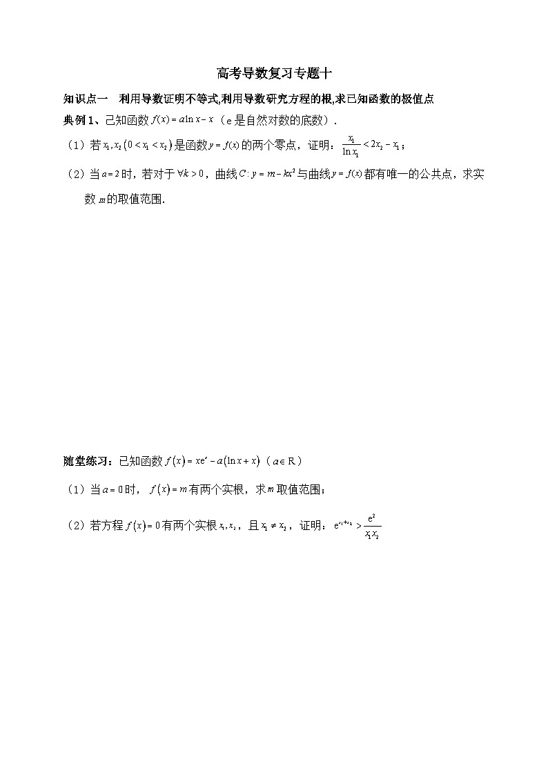 2025高考数学一轮专题复习：导数及其应用专题10（含答案解析）-练习第1页