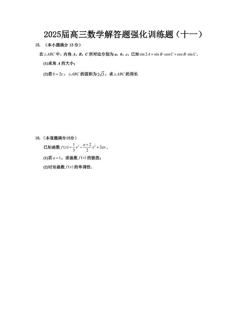 2025届高三数学解答题强化训练题（十一）第1页