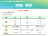 53   第7章   第1课时　基本立体图形、简单几何体的表面积与体积-2025年高考数学一轮复习课件