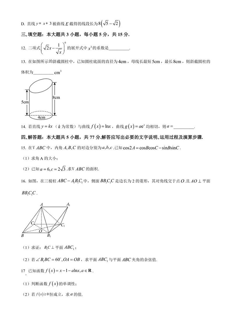 2025届广东省大湾区高三(上)12月联考(月考)数学试卷(含答案)第3页