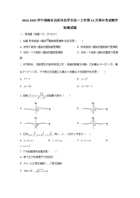 2024-2025学年湖南省岳阳市汨罗市高一上学期11月期中考试数学检测试题