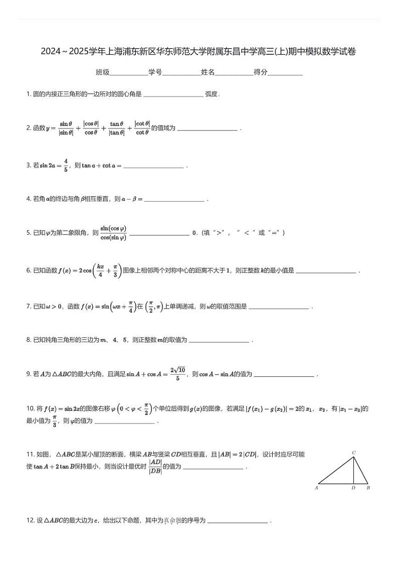 2024～2025学年上海浦东新区华东师范大学附属东昌中学高三(上)期中模拟数学试卷(含解析)第1页