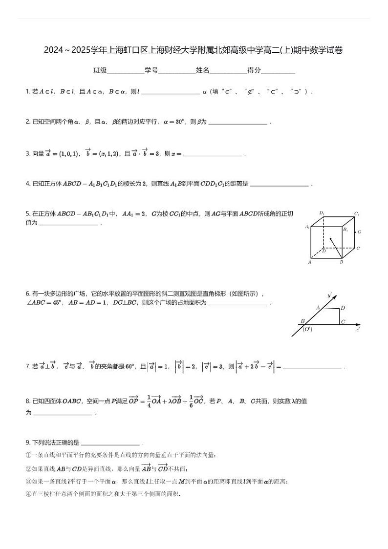 2024～2025学年上海虹口区上海财经大学附属北郊高级中学高二(上)期中数学试卷(含解析)第1页
