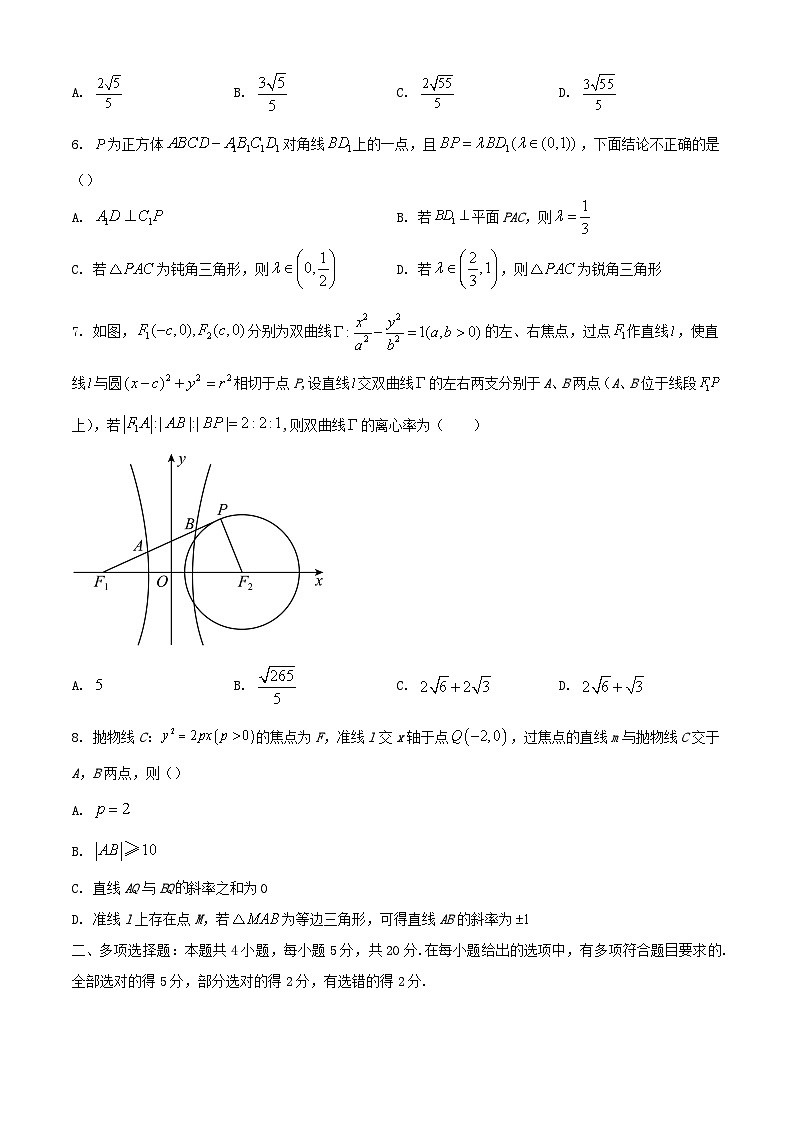 重庆市2023_2024学年高二数学上学期12月月考试题含解析第2页