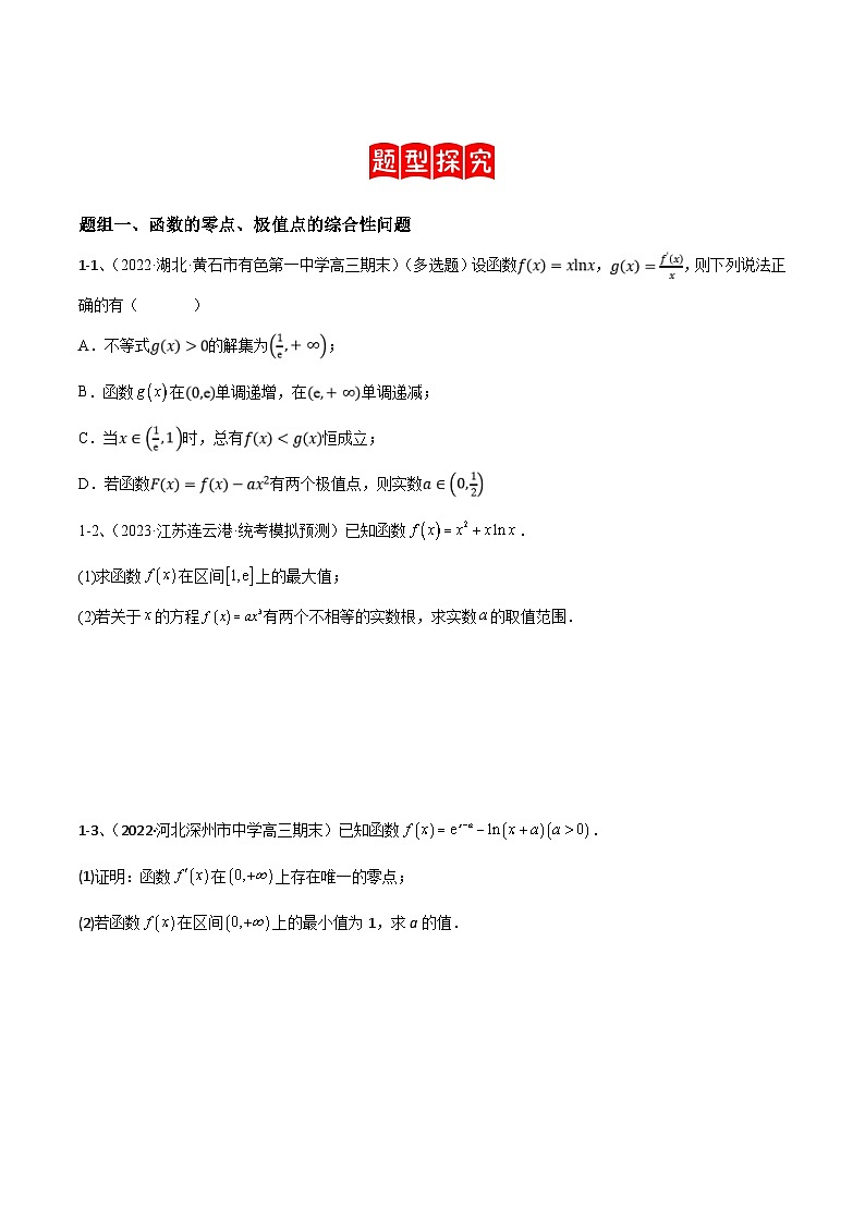 新高考数学二轮培优训练专题10 导数的综合运用（原卷版）第3页