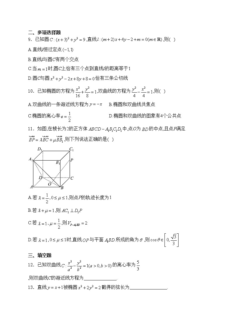 浙江省浙江星辰联盟2024-2025学年高二上学期11月期中联考数学试卷(含答案)第2页