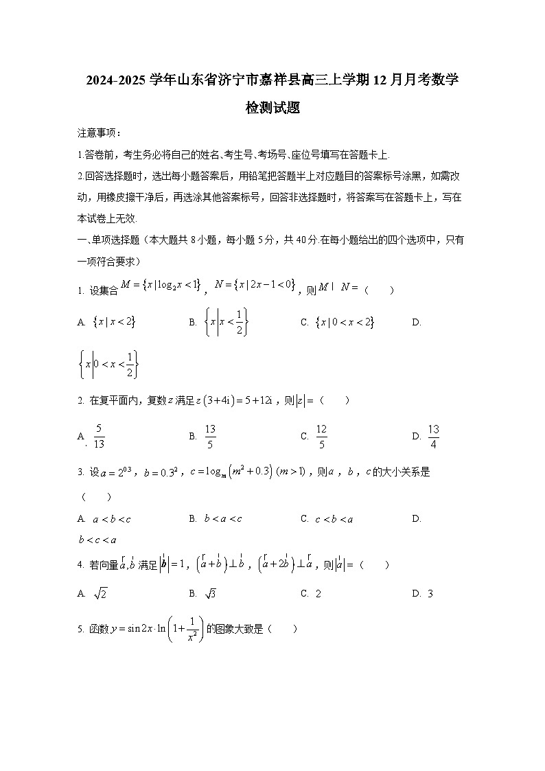 2024-2025学年山东省济宁市嘉祥县高三上学期12月月考数学检测试题第1页