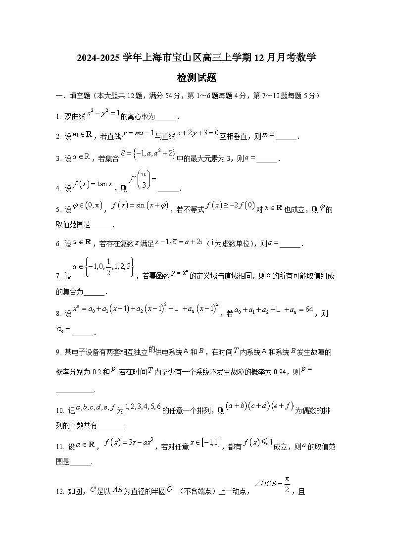 2024-2025学年上海市宝山区高三上学期12月月考数学检测试题第1页