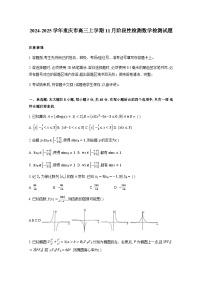 2024-2025学年重庆市高三上学期11月阶段性检测数学检测试题（附解析）
