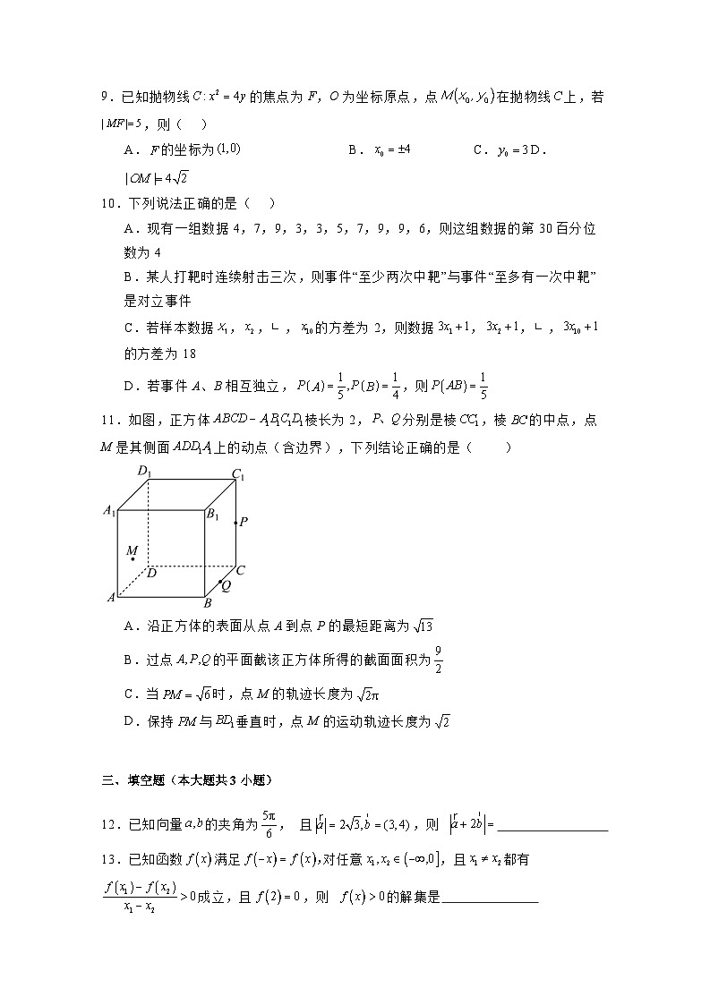 2024-2025学年广西南宁市武鸣区高二上学期期中考试数学检测试卷（含解析）第2页