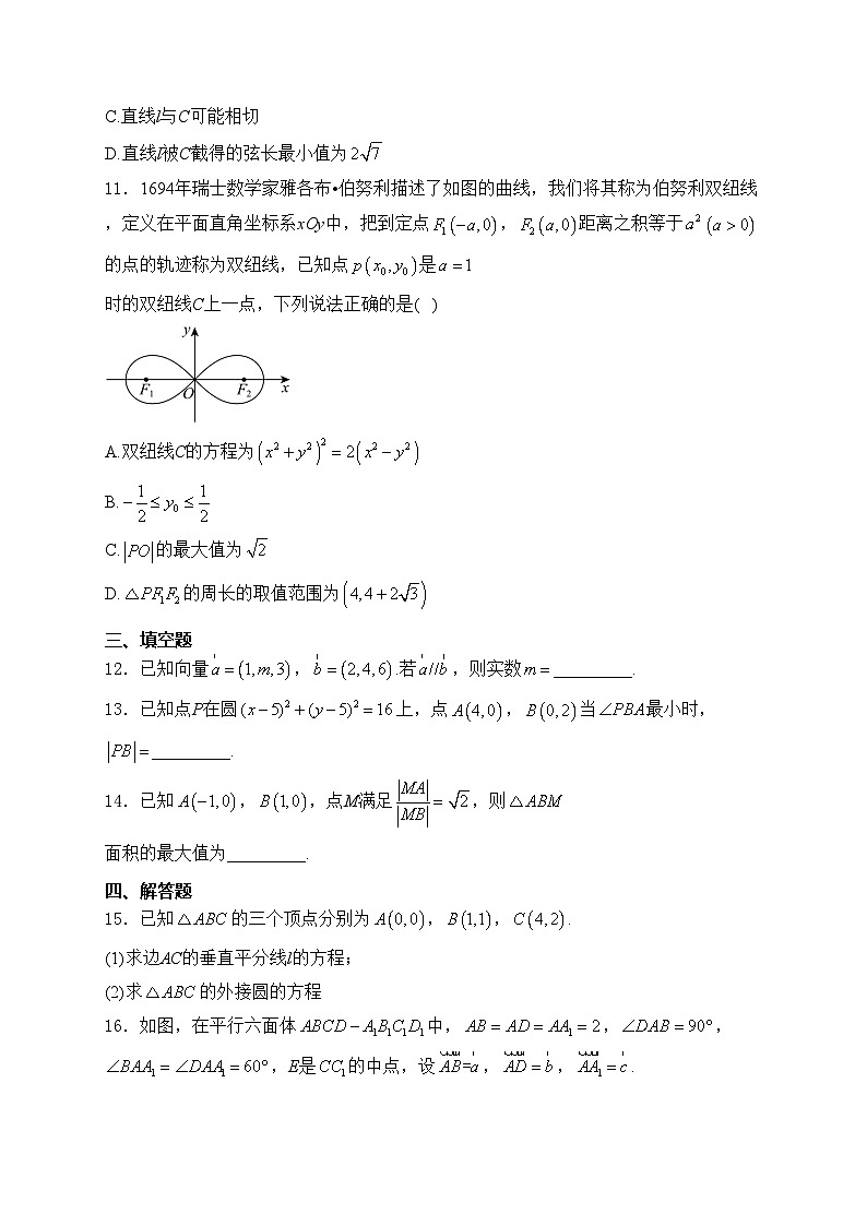 四川省成都市双流区立格实验学校2024-2025学年高二上学期期中考试数学试卷(含答案)第3页